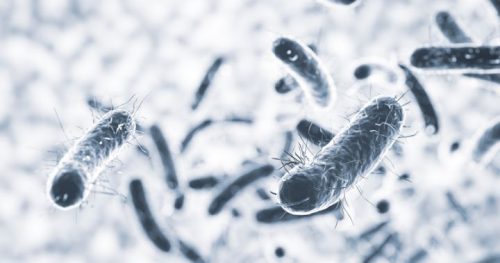 Agua Ozonizada como solución para la desinfección